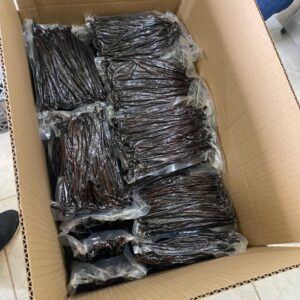 Gourmet Vanille - 10K (353Oz)