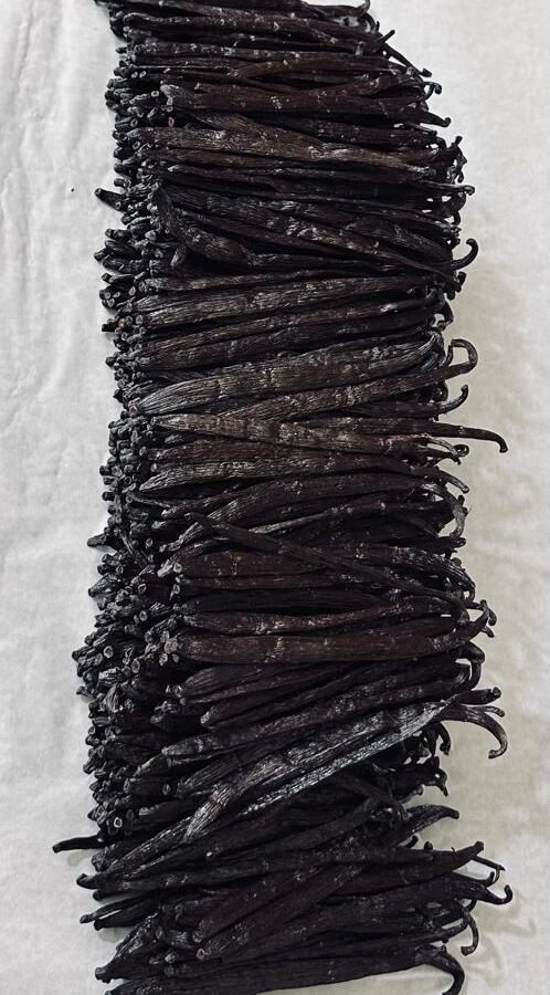 A dense bundle of cured vanilla beans photographed from above on a pale cloth