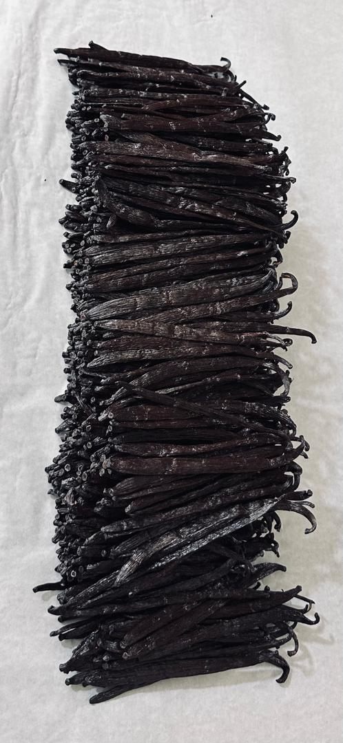 A dense bundle of cured vanilla beans photographed from above on a pale cloth