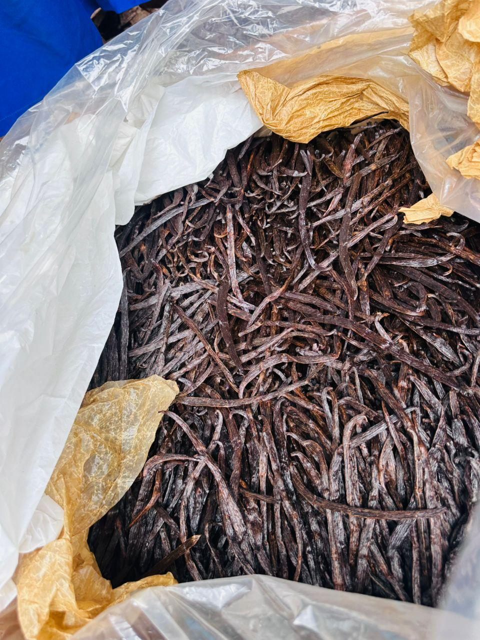 An open bulk sack of cured Ugandan vanilla beans lined with paper at the packing station