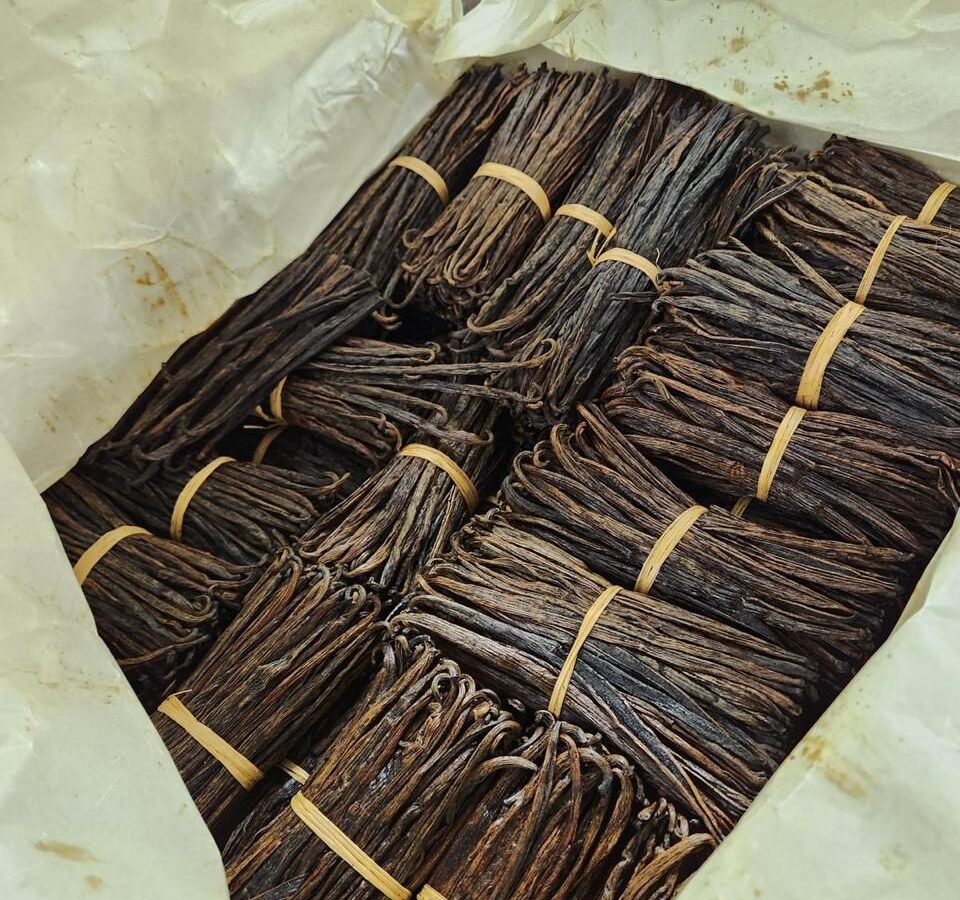 Vanilla beans tied into banded bundles and packed in paper inside an export carton
