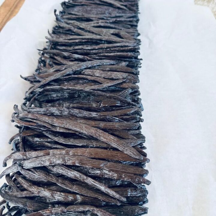 A row of glossy cured vanilla beans arranged on parchment paper after grading