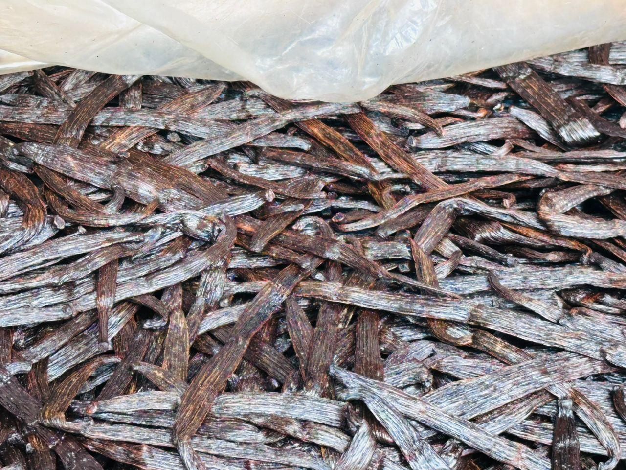 Close-up of loose cured vanilla beans showing the oily, striated surface of the pods