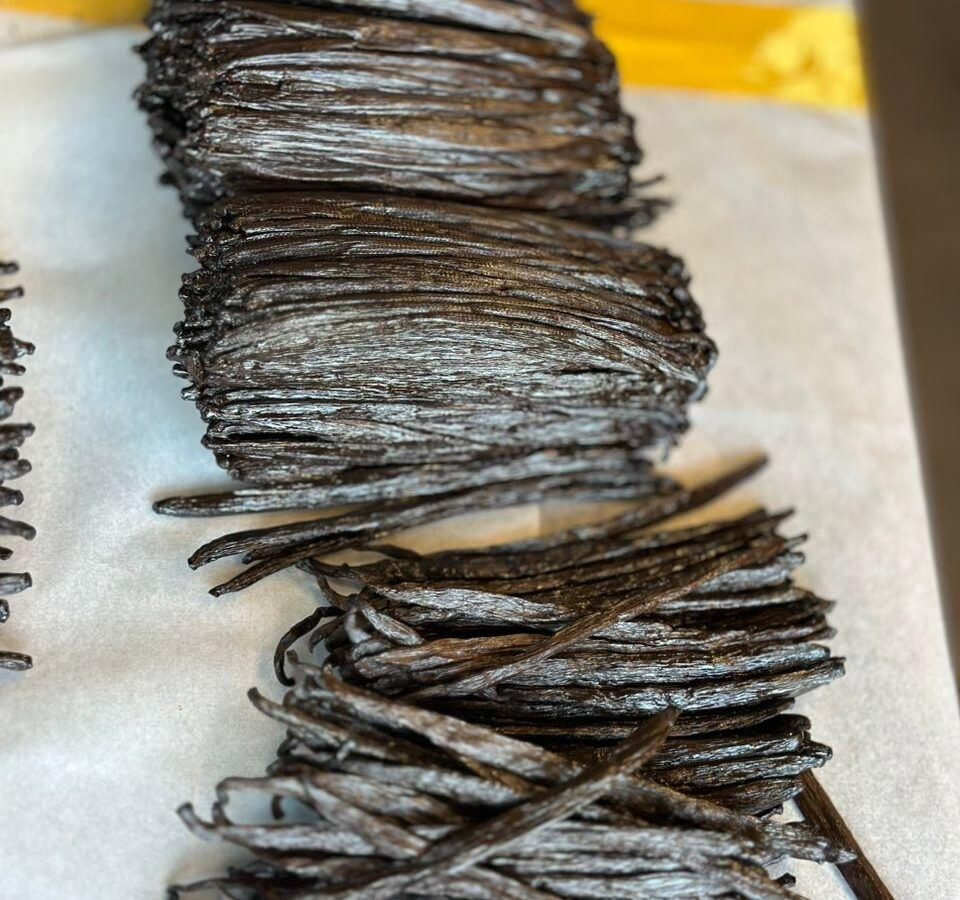 A measuring tape laid across a stack of cured vanilla beans to check pod length against the grade spec