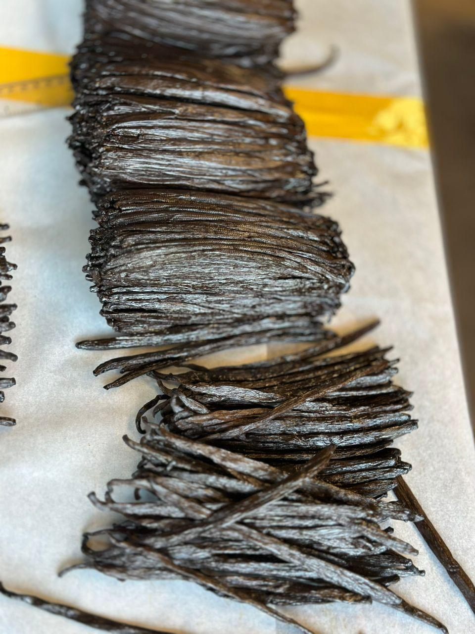 A measuring tape laid across a stack of cured vanilla beans to check pod length against the grade spec
